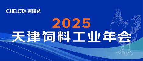 2025������