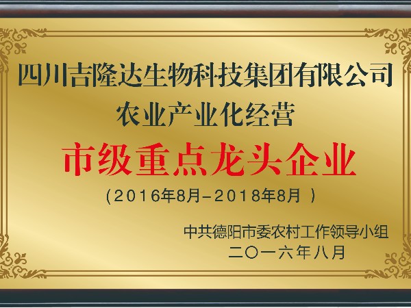 Ȩ����֤����fun88������ҳ�������ʸ���