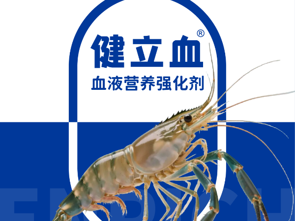 ��ϺҪ��Ѫ��͵��Ӧ�����߲���ԭ������Ϊ����