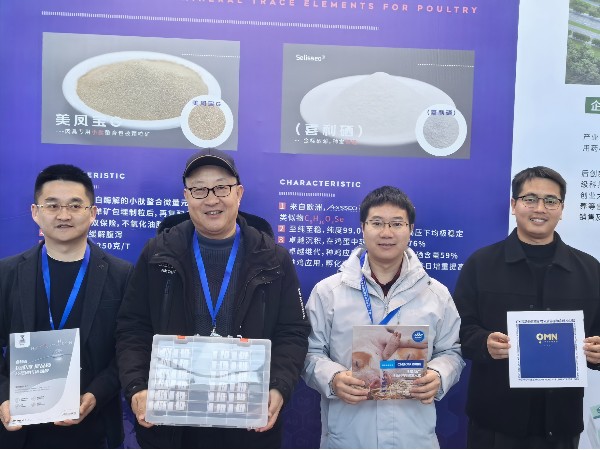 CHELOTAfun88ҳ⼦ҵ̳