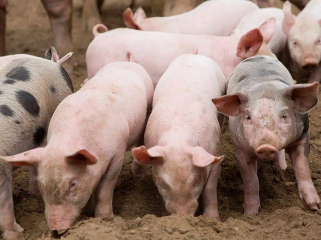 ＾ҪעʲôƺҪһҪĵ