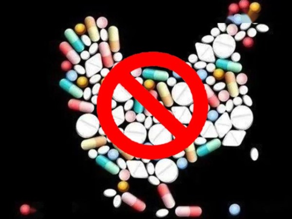 ϲǲΰ룻Żƽ