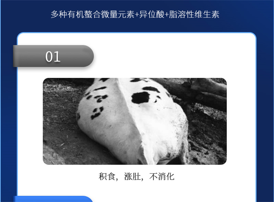 fun88ҳţӼţ׳챦Ʒ