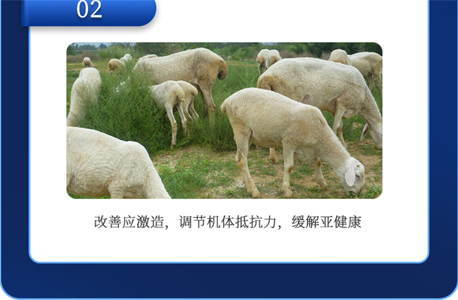 fun88ҳţӼţ׳챦Ʒ