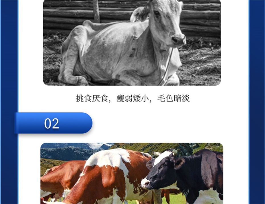 fun88ҳţӼţ׳챦Ʒ