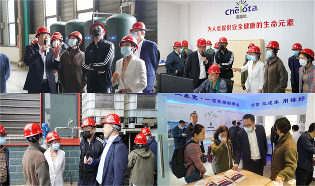 ͨɷݴιfun88ҳл΢Ԫع