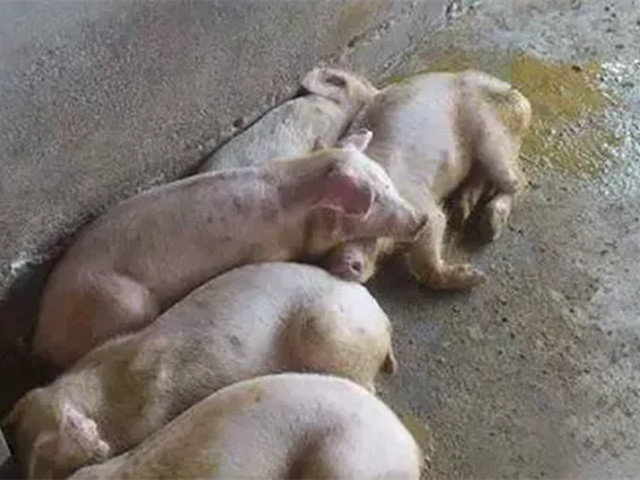 2022궬к֢״ղأ