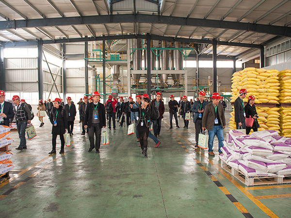 ΢ԪӼϰ˵ǸòƷ