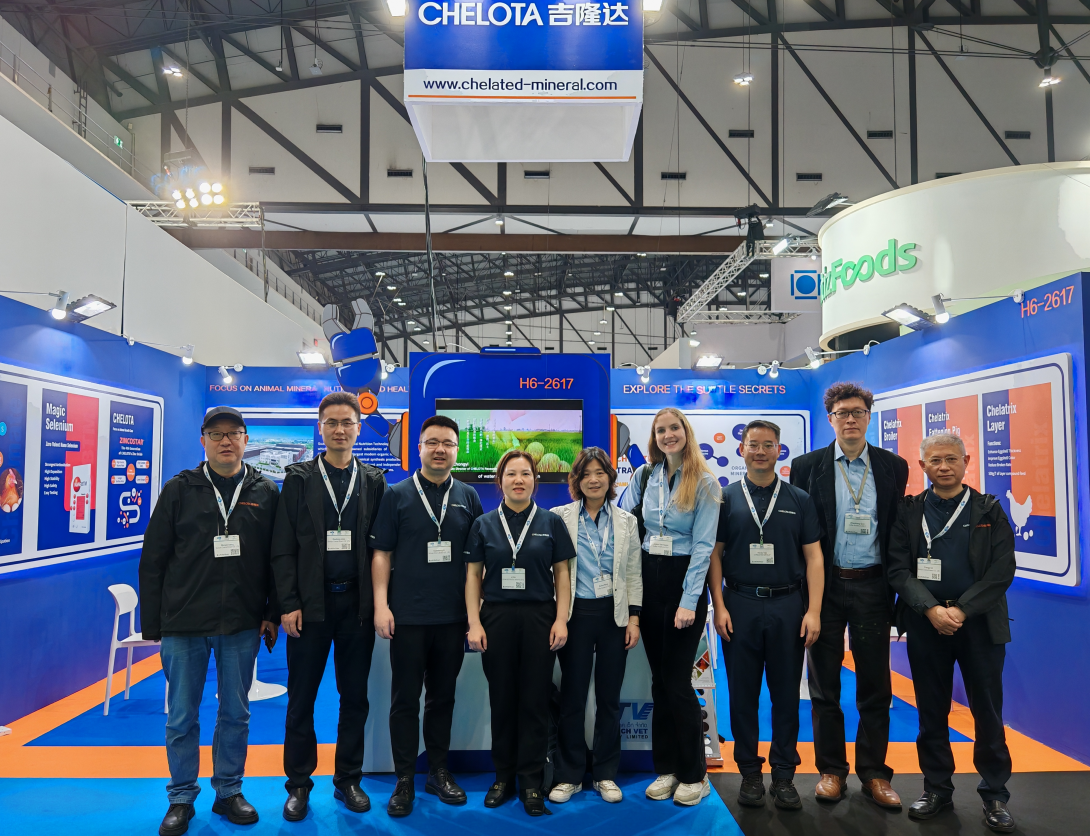 ̩ˣCHELOTAfun88ҳVIVޣ̩ʼԼչ